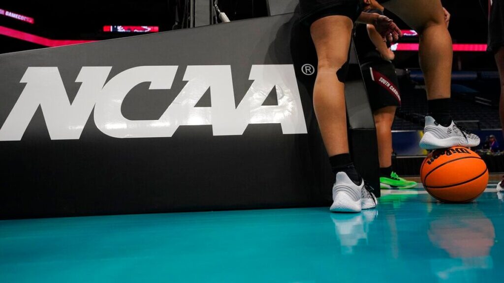 Live stats for Womens Basketball vs Evansville on November 19, 2023 at 1 PM